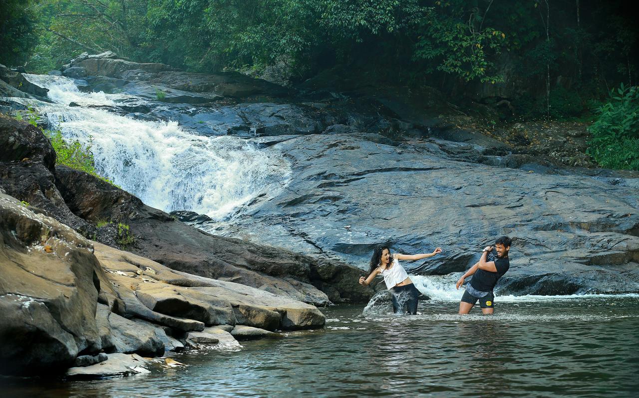 Peter'S Coffee Creek Nature Resort Meppādi Екстериор снимка